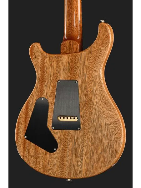 PRS Birds Of A Feather Custom 24 B, detalj 5