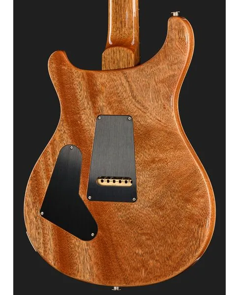 PRS Birds Of A Feather Custom 24 C, detalj 5