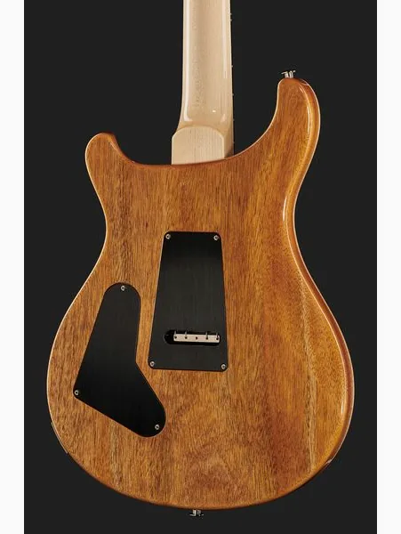 PRS Custom 24 Floyd 10 Top CH 2024, detalj 5
