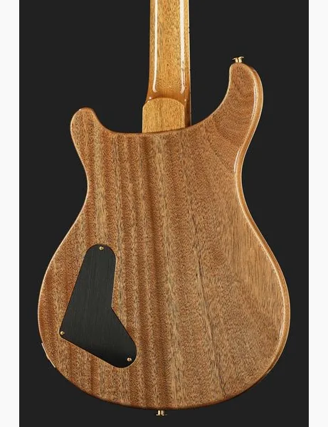 PRS McCarty FBJ MCIII 10 Top, detalj 5