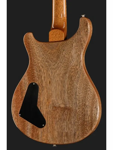 PRS Paul's Guitar Mango LTD CH, detalj 5