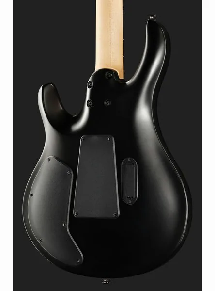 PRS SE Chleo Herman Li CPB, detalj 5
