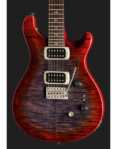 PRS SE Custom 24-08 CG, detalj 4