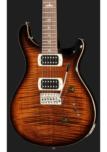 PRS SE Custom 24 BG, detalj 4
