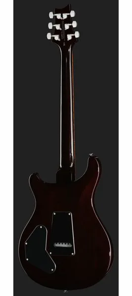 PRS SE DGT Standard Moons MTS, detalj 3