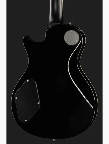 PRS SE Zach Myers EB, detalj 5