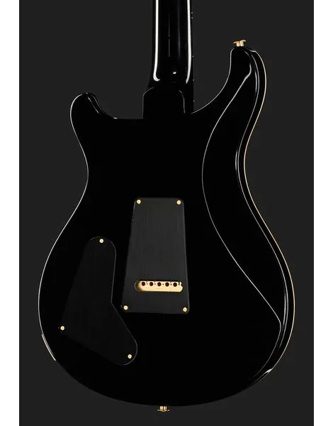 PRS Studio 10 Top FW, detalj 5