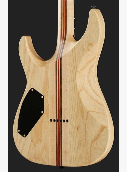 Schecter C-1 50th Anniversary GB, detalj 5