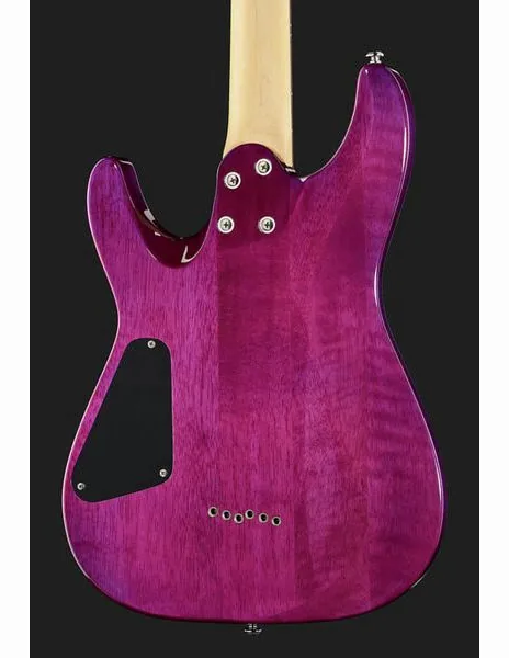 Schecter C-6 Plus EM, detalj 5