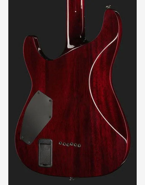 Schecter C-1 Hellraiser BCH, detalj 5