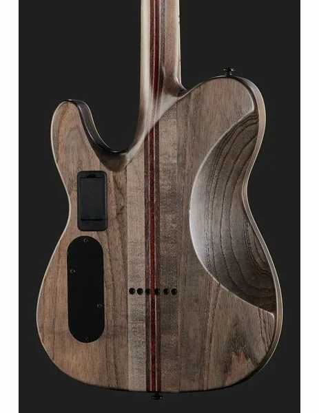 Schecter PT SLS Evil Twin, detalj 5