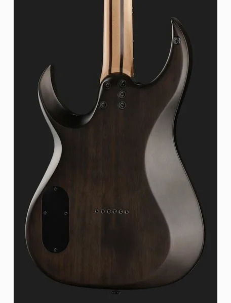 Schecter Sunset Extreme Grey Ghost, detalj 5