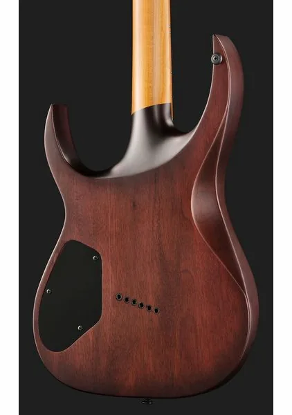 Solar Guitars A1.6FDPB-FF Flame Purple Burst, detalj 5