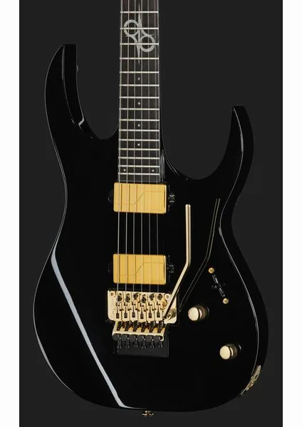 Solar Guitars SR1.6AFRMNS, detalj 4