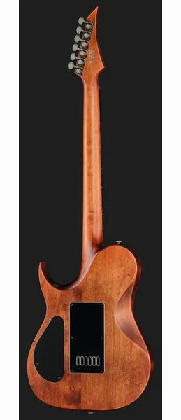 Solar Guitars T1.6D Aged Natural, detalj 3