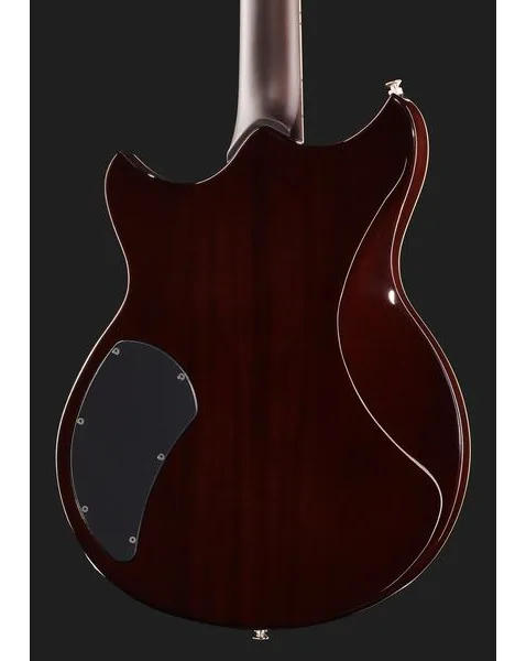 Yamaha Revstar RSS02T Black, detalj 5